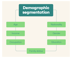 what is demographic segmentation