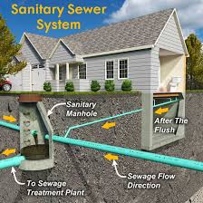 sewer backup causes cleanup prevention