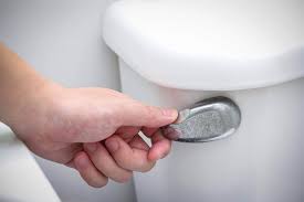 On the other hand, there are a few steps you can take before going that route. How To Flush Your Toilet When The Water Is Shut Off