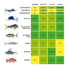 species chart costa rica marina