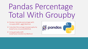 pandas percene total with groupby