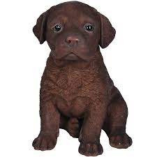 Pet Pals Chocolate Labrador Puppy