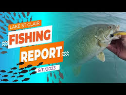 lake st clair fishing report 5 11 2023