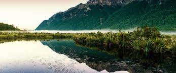 New Zealand, Fog, Mountain, Reflection ...