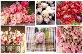 Source high quality products in we would like to welcome you to dhgate, where a large inventory for this item exists, having some of the cheapest offers you have ever seen!you can. Cheaper Peony Replacement Flowers For Your Wedding And Garden Too Kids In The Harbor
