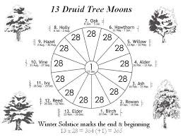 My Sidereal Astrology Birth Chart Darbi Sue Dunbar