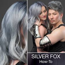Guy Tang Silver Fox How To Color Modern Salon