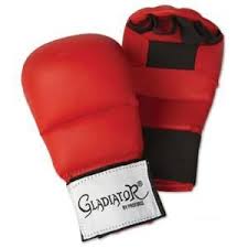 Pro Force Gladiator Karate Sparring Gloves