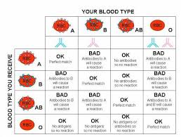 Meticulous Blood Type Donor Receiver Chart Blood Type And