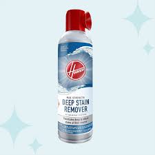 best carpet stain removers 2023 best