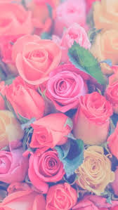 page 4 pastel roses hd wallpapers