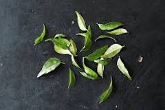 Are curry leaves edible?