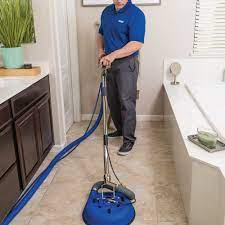 coit carpet cleaners in loveland co