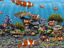 best fish live wallpapers android live