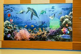 Pdo School Oman Aquarium Wall Art