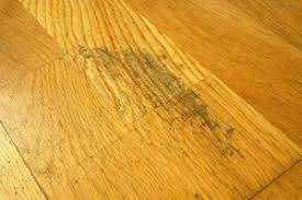 water damage to hardwood floor should