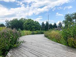 Beautiful Naval Cemetery Landscape Reopens to Brooklyn's Nature Lovers -  Untapped New York