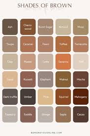 brown color palette designs shades