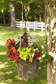 Our Best Container Gardening Ideas