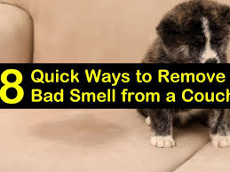 remove bad smell from a couch