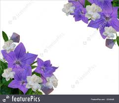 Floral Border Purple Flowers And Gardenias Royalty Free Stock Illustration