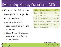How To Evaluate Kidney Function