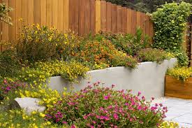how to create a colorful garden the