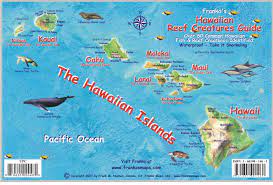 hawaiian map fish id card