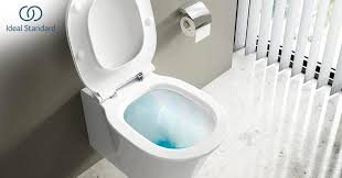 Η ideal standard, ο μεγαλύτερος κατασκευαστής ειδών μπάνιου στον κόσμο προσφέρει ολοκληρωμένες λύσεις προϊόντων μπάνιου όπως κεραμικά είδη υγιεινής, μπαταρίες μπάνιου και. Ideal Standard Connect Air Toilet Met Aquablade Spoeltechniek Cadier En Keer