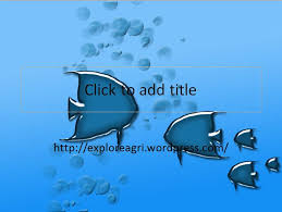 Free Fish Powerpoint Template Download Fish Ppt Templates Free
