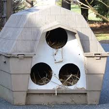 outdoor cat house ideas for feral