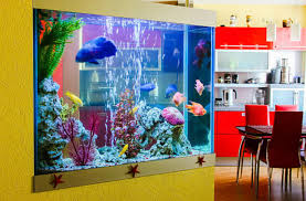 Check Out These Awesome Ideas for Your Home Aquarium - gambar png
