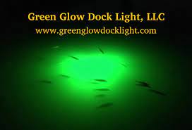 green glow dock light snook lights