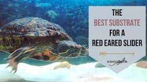 best substrate for a red eared slider