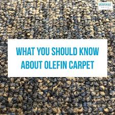 olefin carpet pioneer carpet cleaners