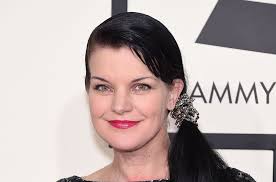 what pauley perrette is doing in 2023