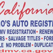 vehicle registration renewal