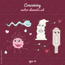 Concieving, contraception and impregnation elements set in cartoon style  Stock Vector | Adobe Stock