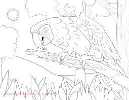 All macaw coloring sheets and pictures are absolutely free and can be linked directly, downloaded, printed, or shared via ecard. Scarlet Macaw