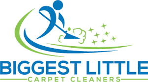 biggest little carpet cleaners reno s