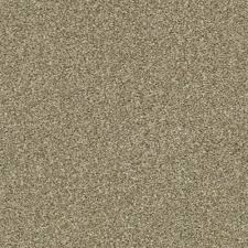 dried clay carpet jackson michigan