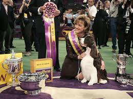 Humans will be there, too, of. 2007 Westminster Dog Show Cbs News