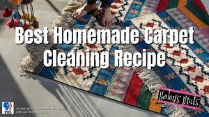 best homemade carpet cleaning recipe
