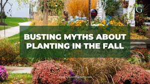 Busting Myths About Planting In The Fall