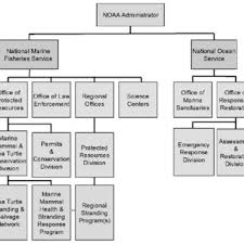 Hazing Group Organizational Chart Download Scientific Diagram