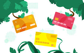 best credit cards for young s
