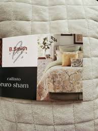 New B Smith Callisto Euro Pillow Sham