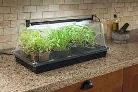 Indoor Greenhouse Aquaponics Diy