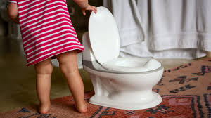 the 4 best potty chairs tested by gearlab