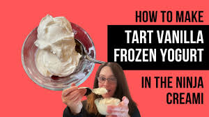 how to make tart vanilla frozen yogurt